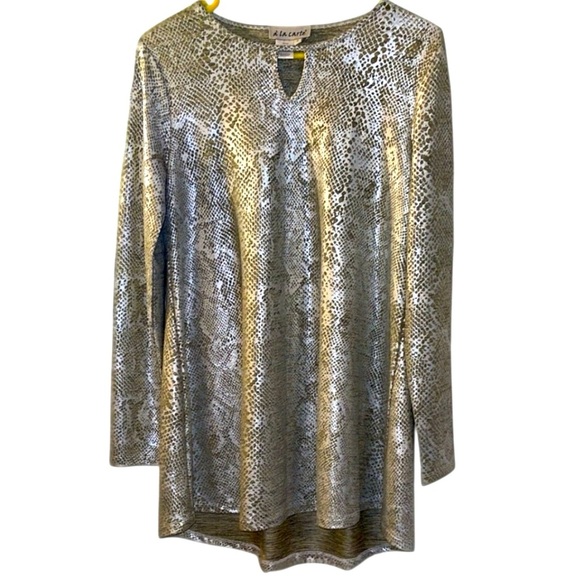 🌹A’LACARTE SILVER/TAN TUNIC BLOUSE - Picture 1 of 6